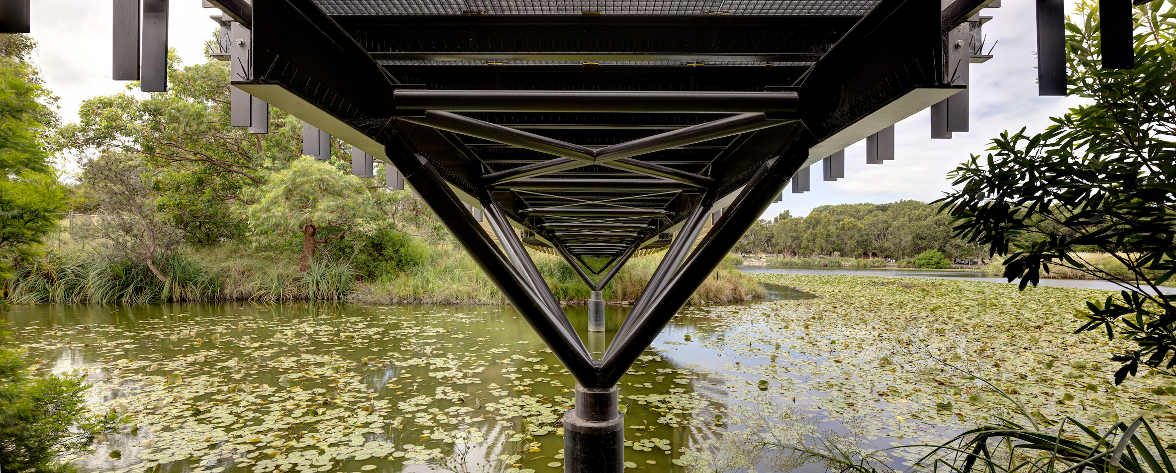 悉尼 Bara Bridge | 蜿蜒如鳗鲡的金属桥，重塑公园与本土文化的联系-23