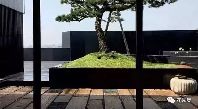 最美不过苔造园,探寻东方庭院的诗意之美-28