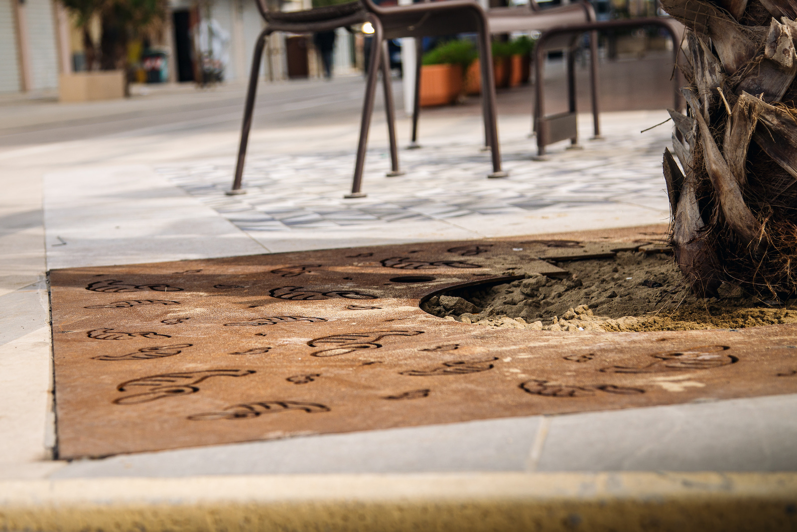 PARCO DEL MARE RIMINI 2022 - LAB23-8