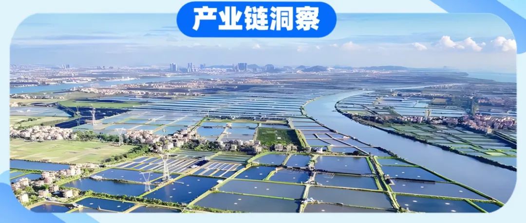 东伦敦科技城更新项目丨英国伦敦丨伦敦政府-79