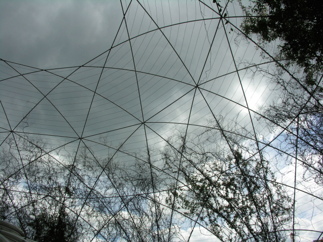 华沙大学图书馆丨波兰华沙丨Budzynski & Badowski-79