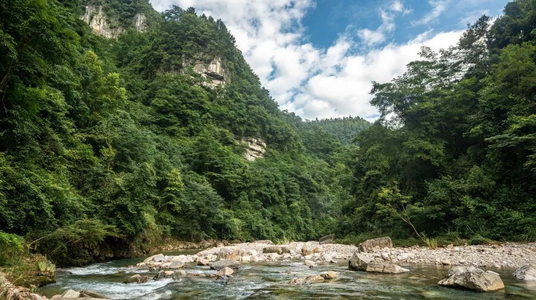 野奢秘境，探寻春日浪漫-185
