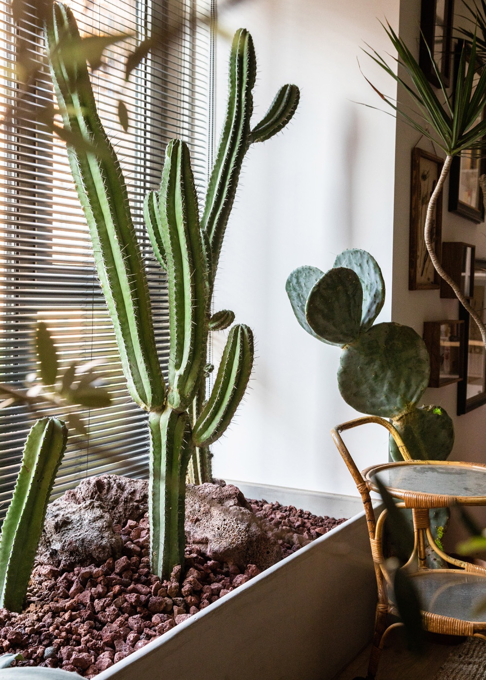 充满呼吸感的家-68