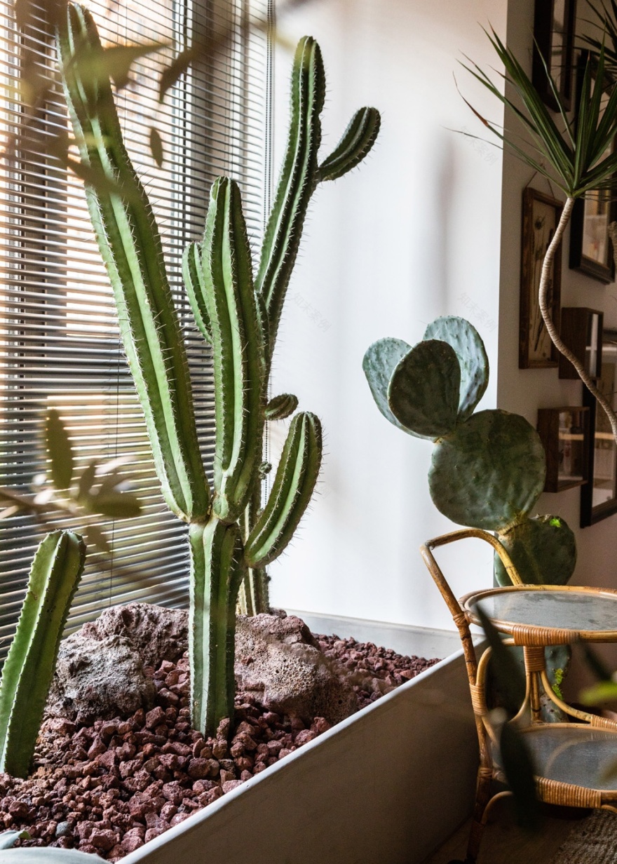 充满呼吸感的家-68