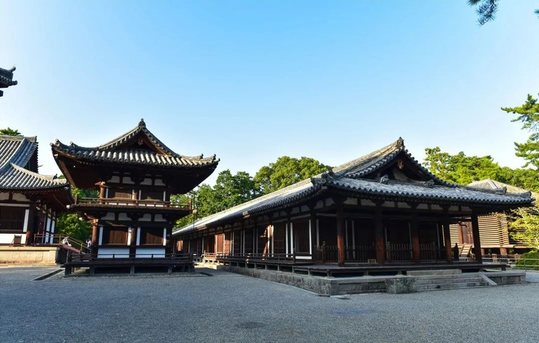 唐招提寺丨日本丨鉴真师徒-5