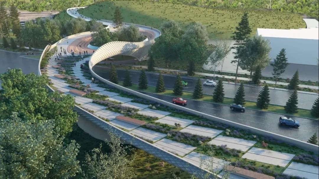 生态飘带景观桥丨澳大利亚堪培拉丨CX landscape-0