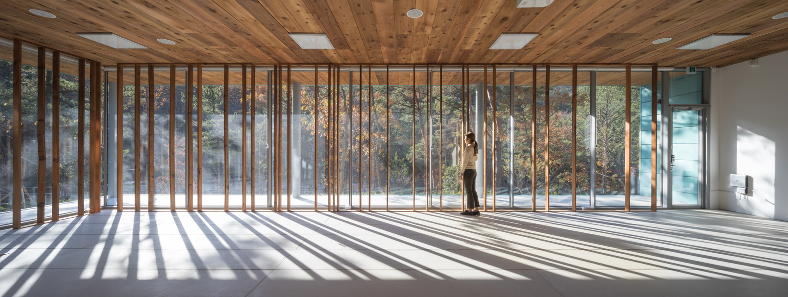 Busan Forest of Healing Visitor Center  Architects Group RAUM-31