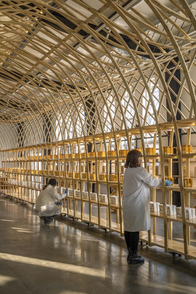 云台山冰菊展示架丨中国焦作丨LUO studio-29