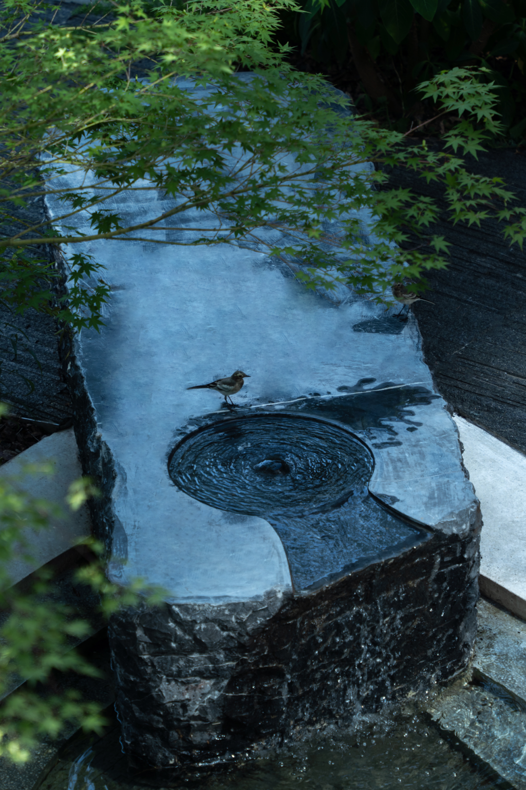 重庆香港置地壹江郡天湖屿样板花园丨中国重庆丨麦微景观-112