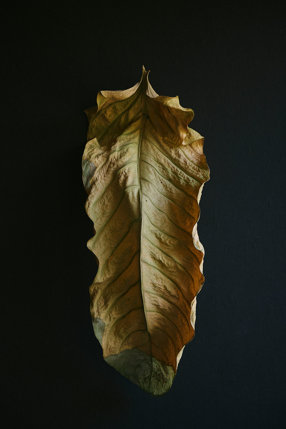 京都NOMA餐厅室内设计丨日本京都丨OEO STUDIO-69