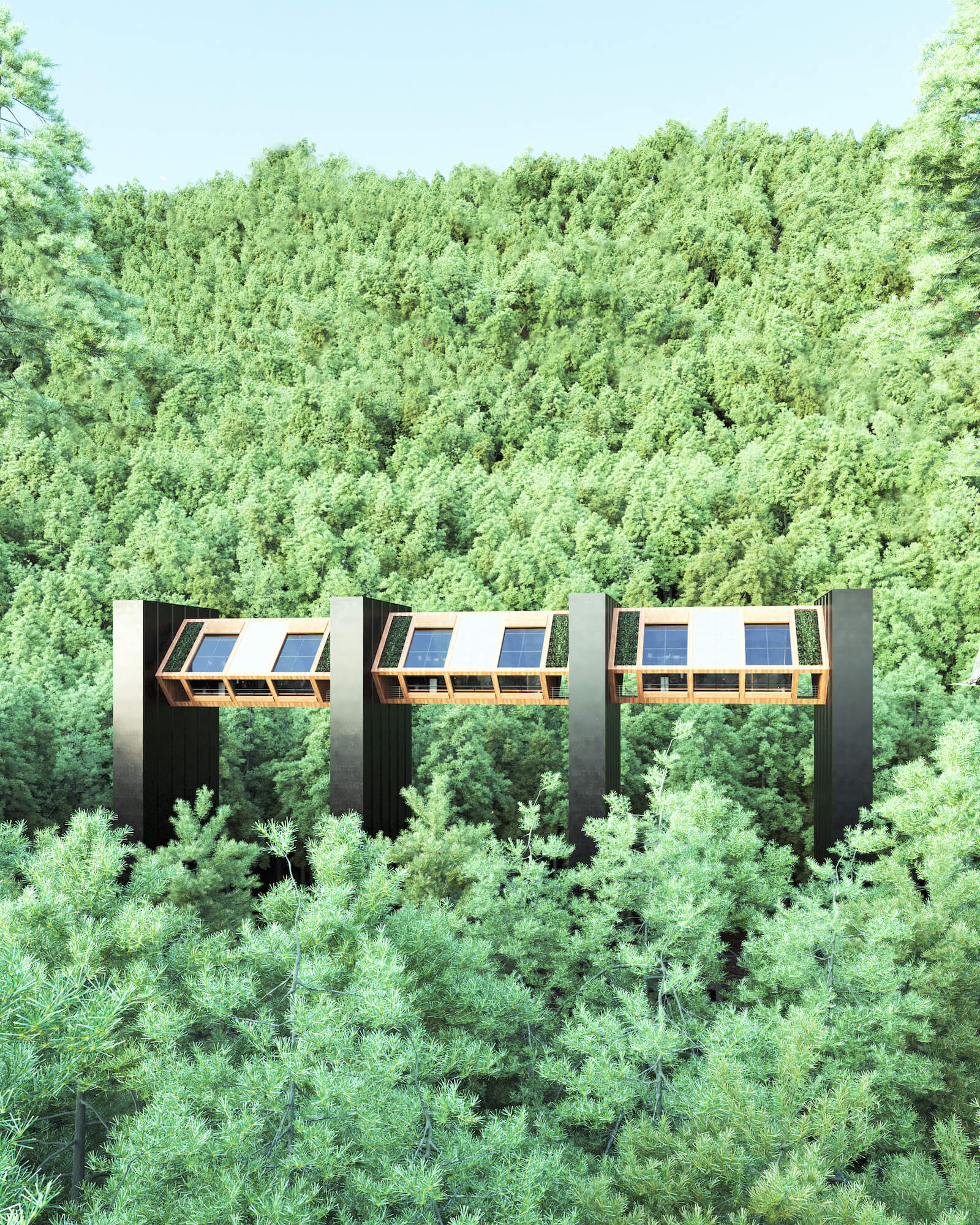 不列颠哥伦比亚省温哥华的电梯房                     -1