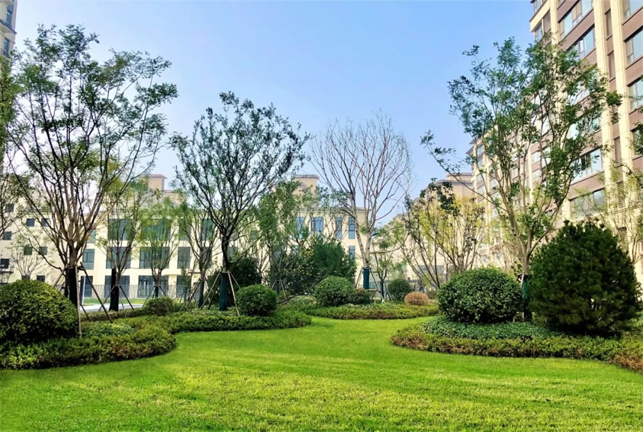 济南世茂·璀璨天境丨中国济南丨上海道田景观工程咨询有限公司-38