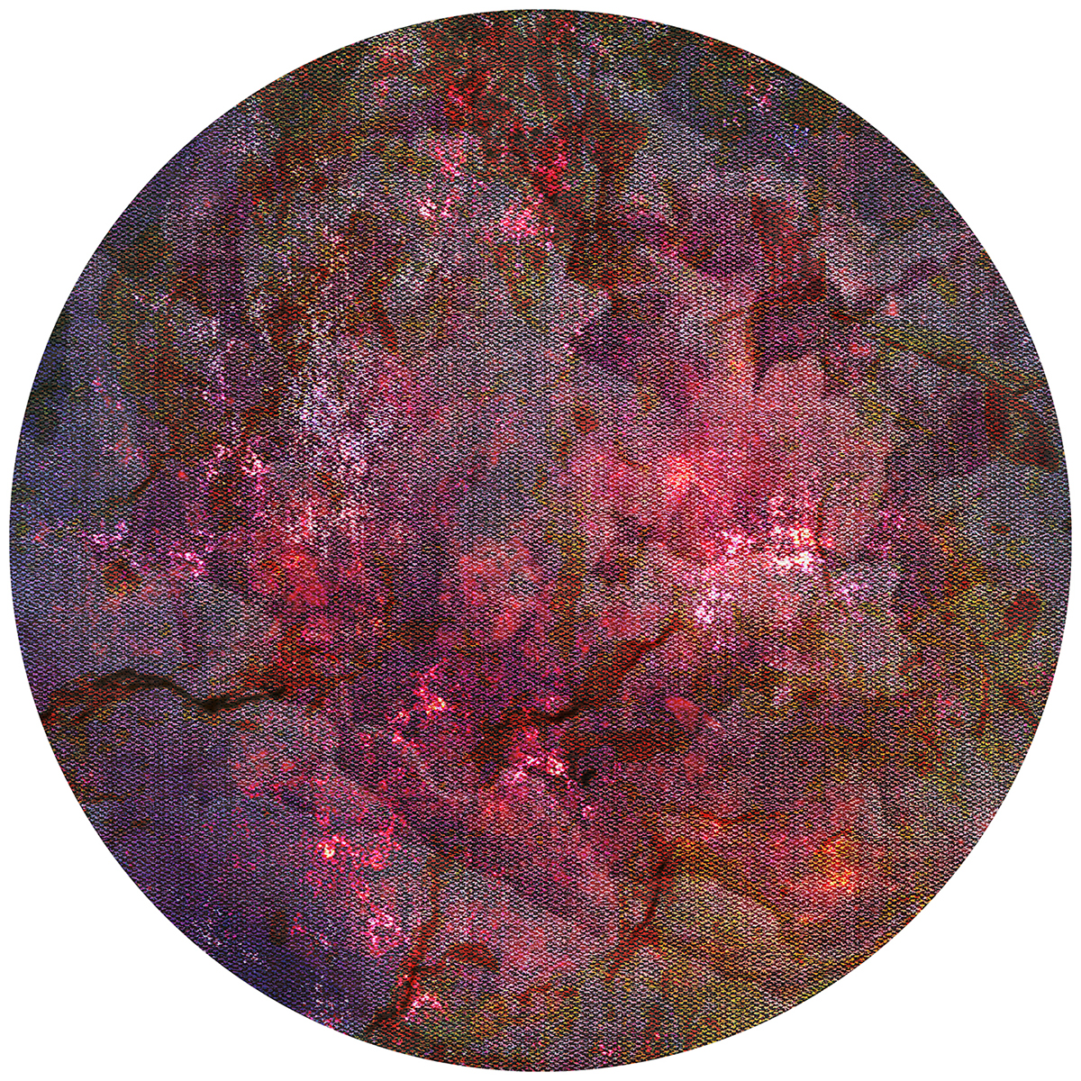 日本花卉地毯-20