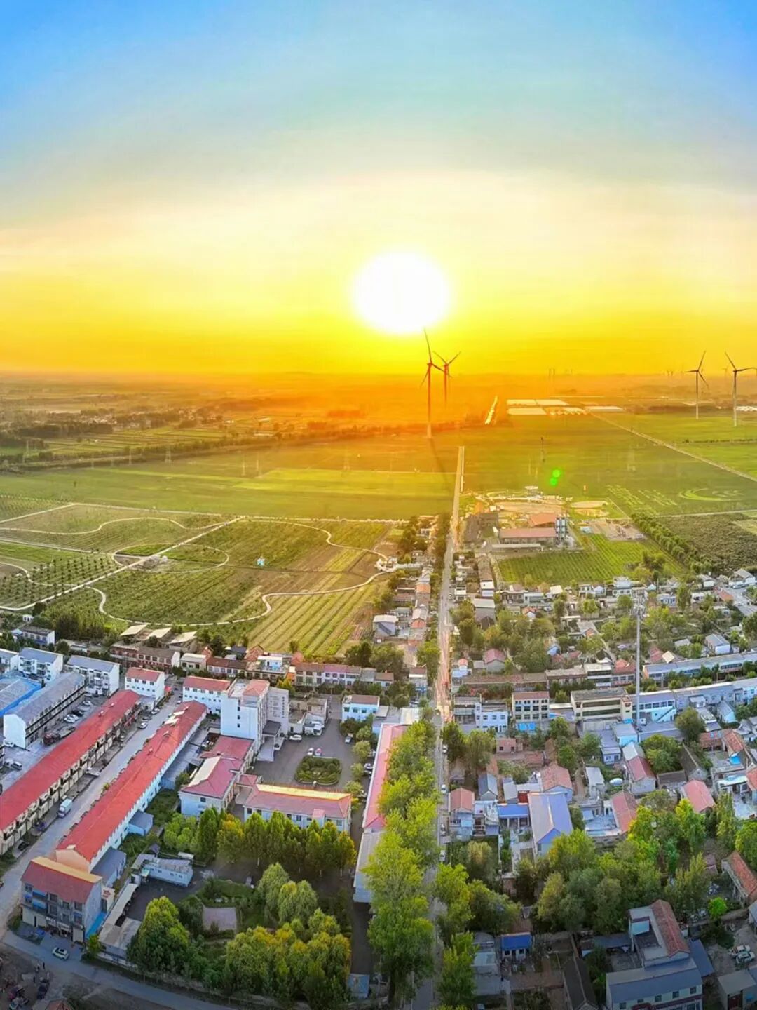 AWARDS|棕榈设计荣获2024“设计河南·美丽乡村”创意设计大赛两项奖项-13