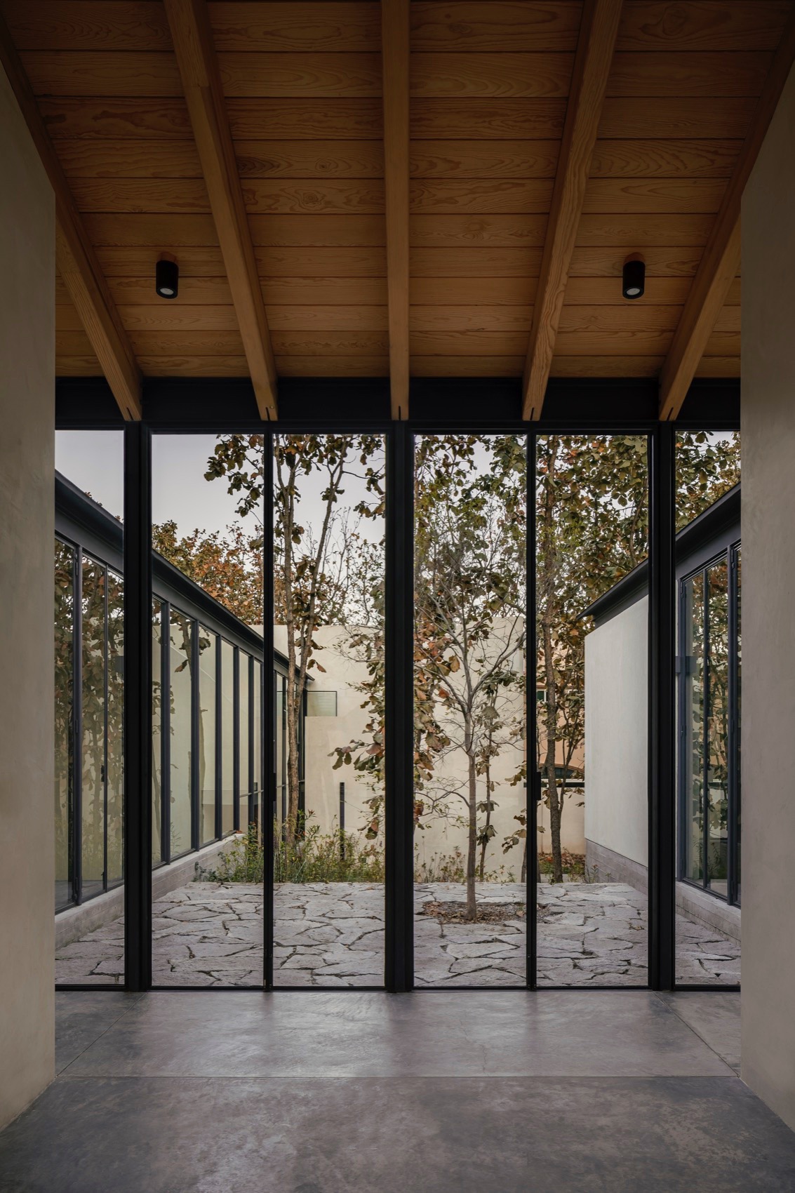 Caribu 住宅丨墨西哥丨Taller Tequio-24