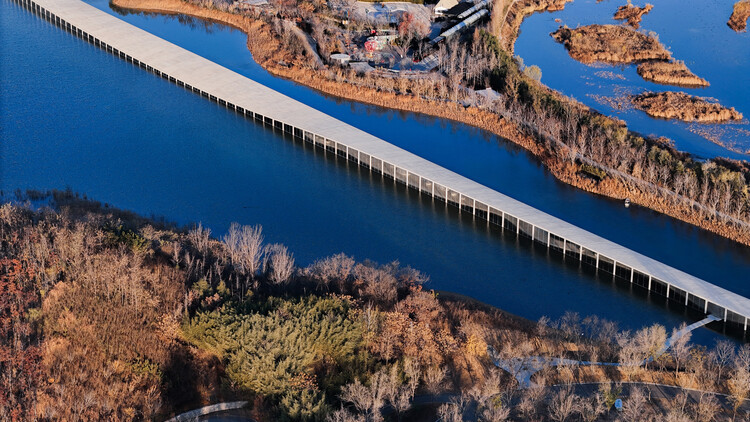 丨中国日照丨junya ishigami + associates-62