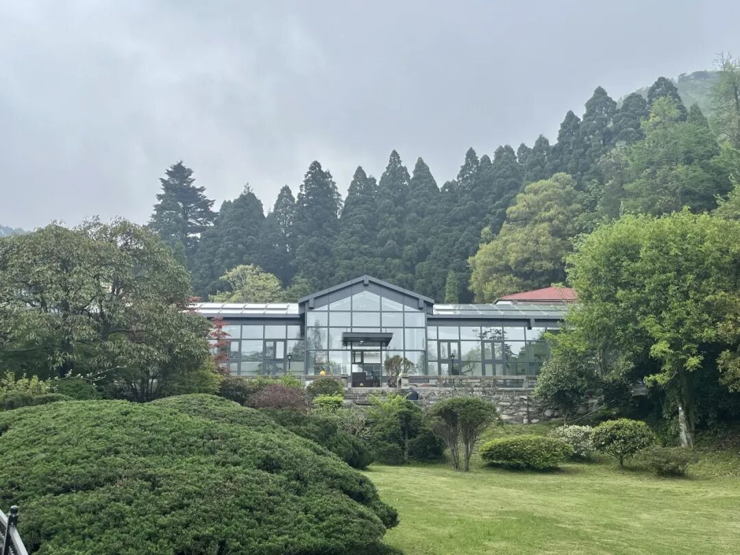 庐山植物园基础设施提升改造项目圆满竣工！-95