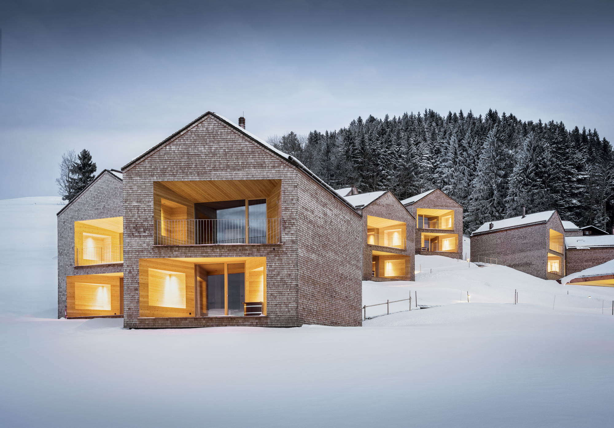 彼得霍夫阿尔卑斯山皮毛酒店丨Austria丨Baumschlager Eberle Architekten-34