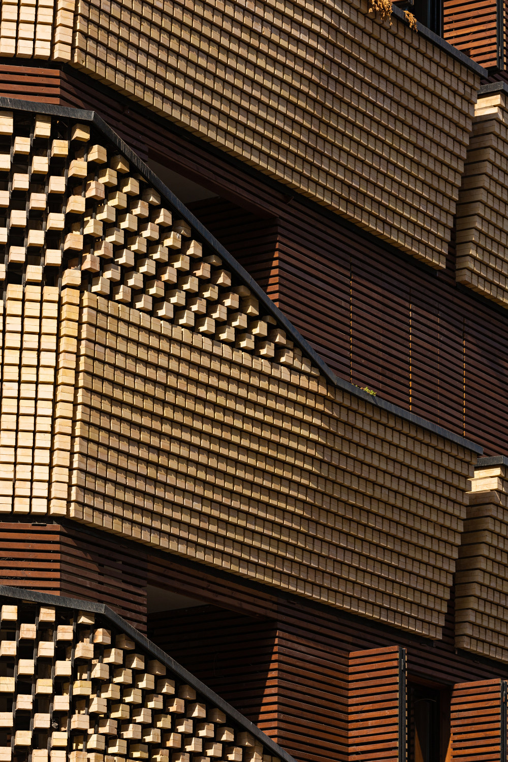 伊朗德兹富尔住宅区设计丨BioDesign Architects-46