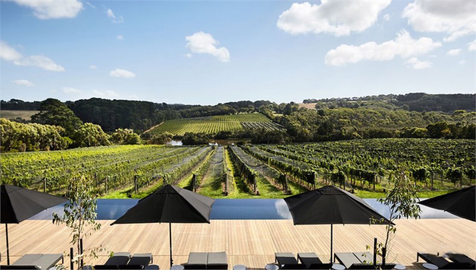 墨尔本Jackalope酒店设计  Dan Cox-2