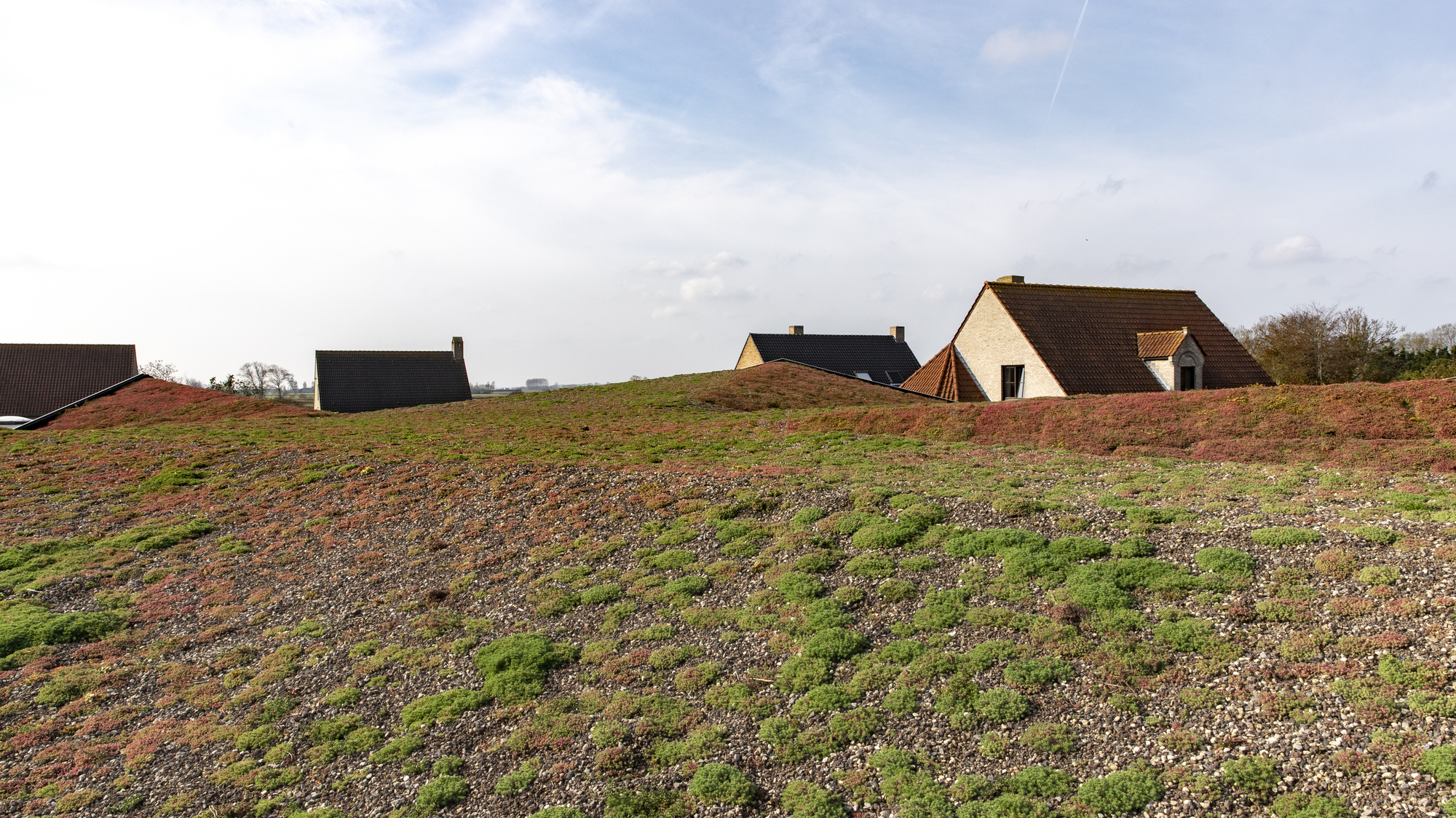 比利时 ACASUS 知识与灵感中心丨denc!studio-26