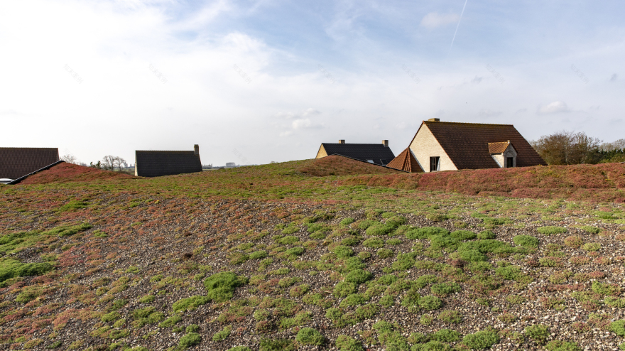 比利时 ACASUS 知识与灵感中心丨denc!studio-26