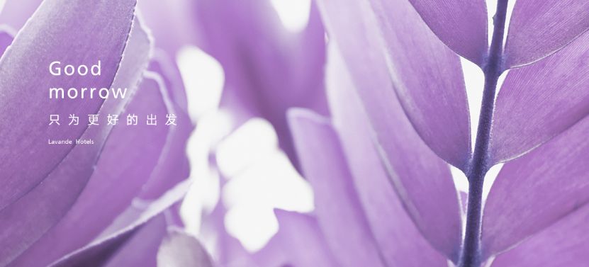 薰衣草香中的自在空间——惠州丽枫酒店新圩店-0