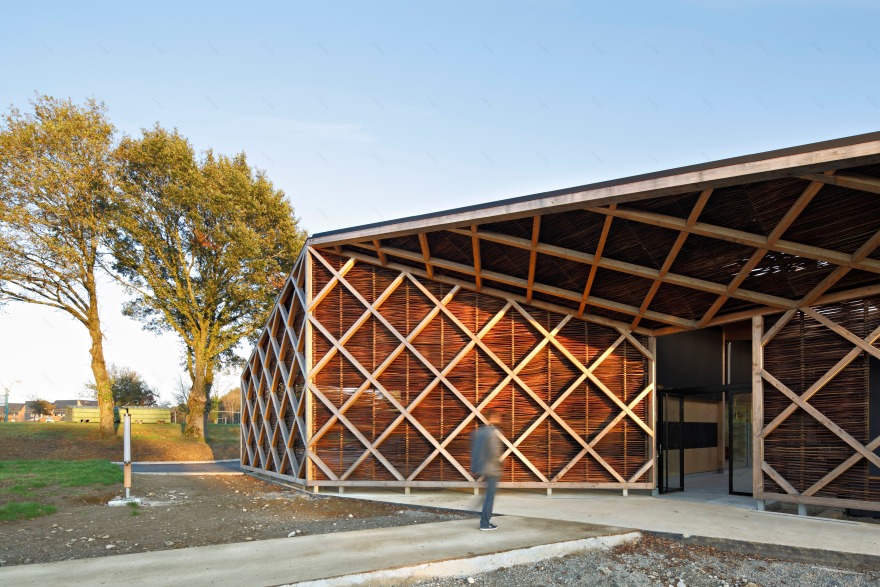 校园绿意 · 蔬菜加工车间与教学结合的设计-40