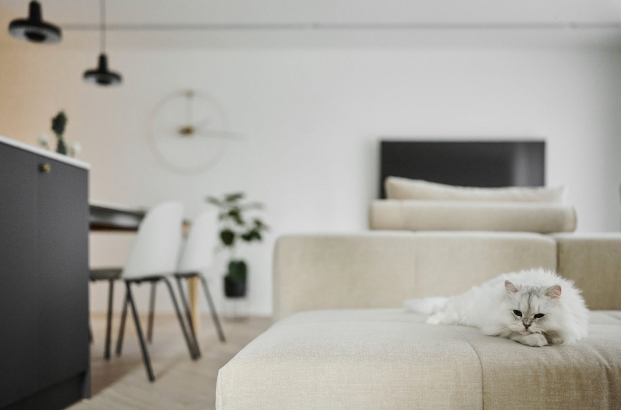 明亮舒适，简洁北欧风! | 北鸥设计-11