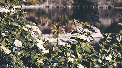 上海天华建筑设计有限公司 · GBD 设计杜文彪 ·售楼处 · GBD 杜文彪专辑-108