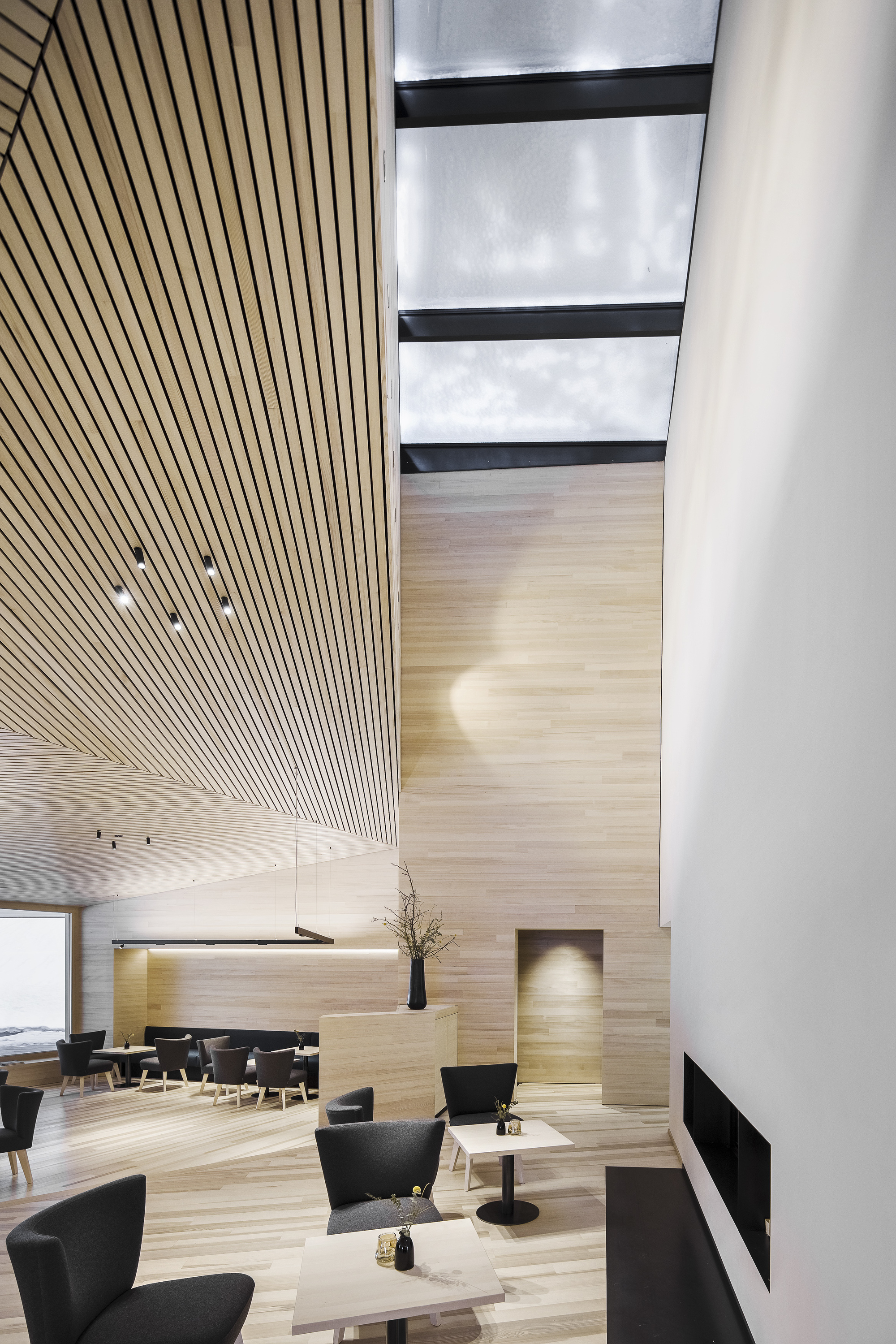 彼得霍夫阿尔卑斯山皮毛酒店丨Austria丨Baumschlager Eberle Architekten-44