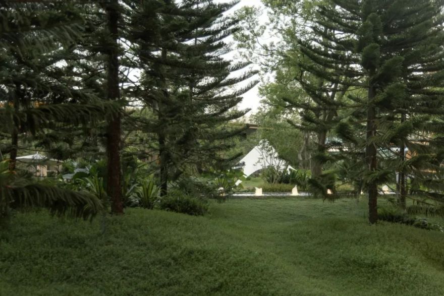 华润置地静兰湾·润玺|树冠私语雾涧浮光-77