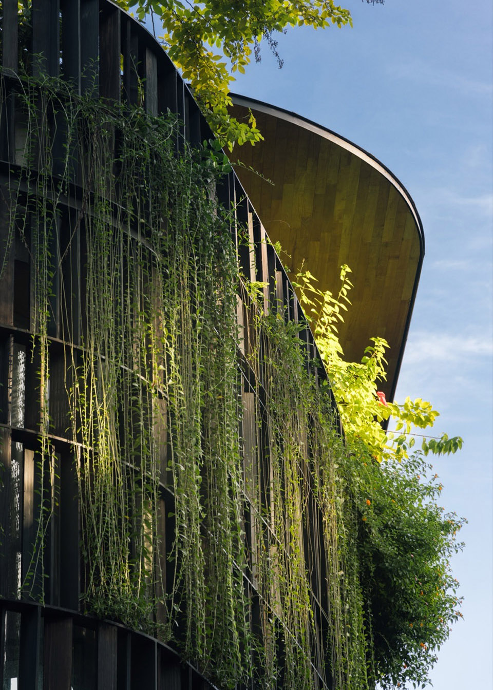 触动伊甸园住宅丨新加坡丨Wallflower Architecture + Design-21