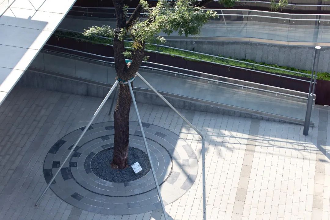 绿色智慧生活样本 | 乡愁记忆的新区实验区-38