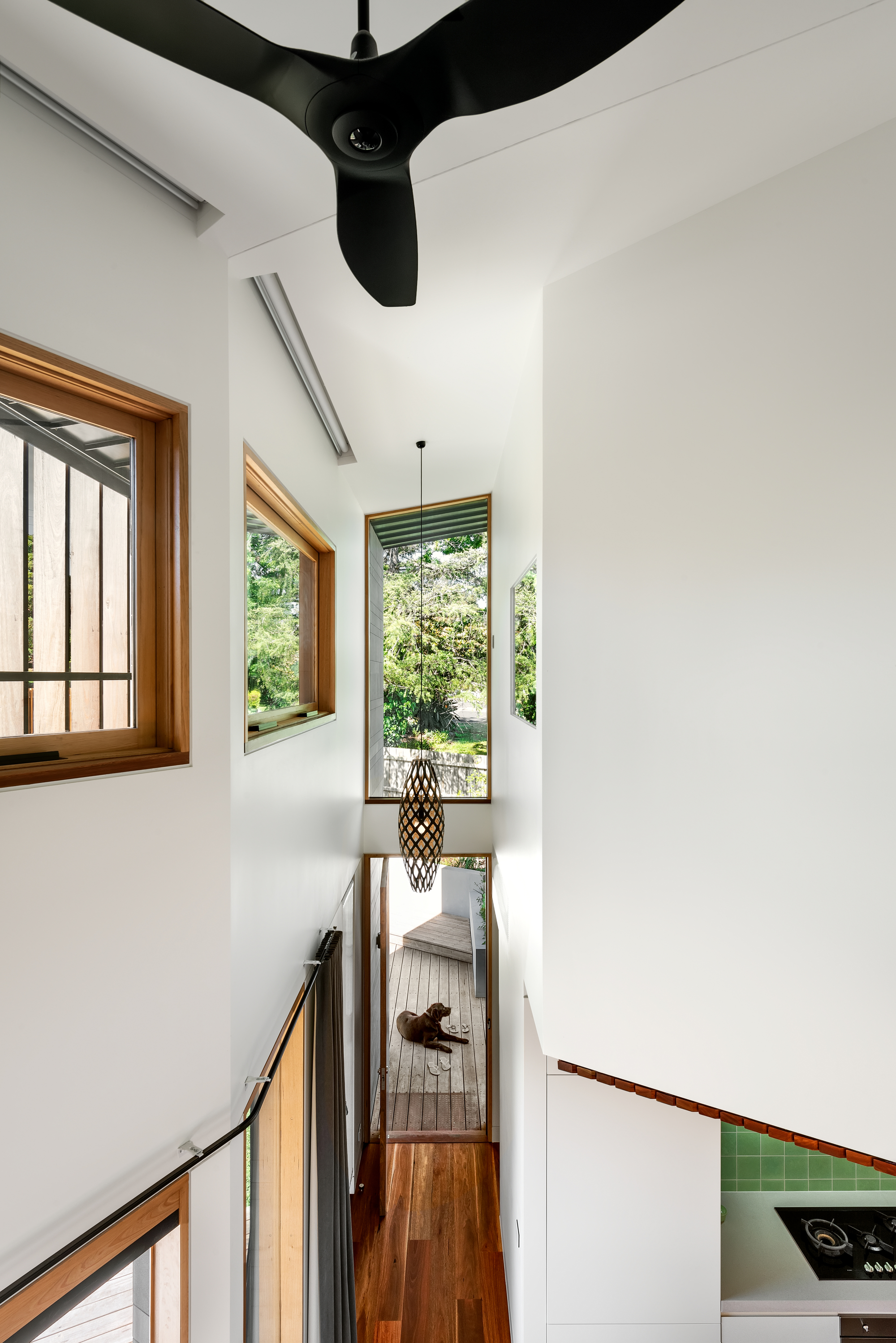 林荫大道住宅丨澳大利亚墨尔本丨Green Sheep Collective-21