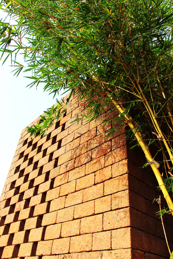 印度乡间绿意盎然的退休之家-33