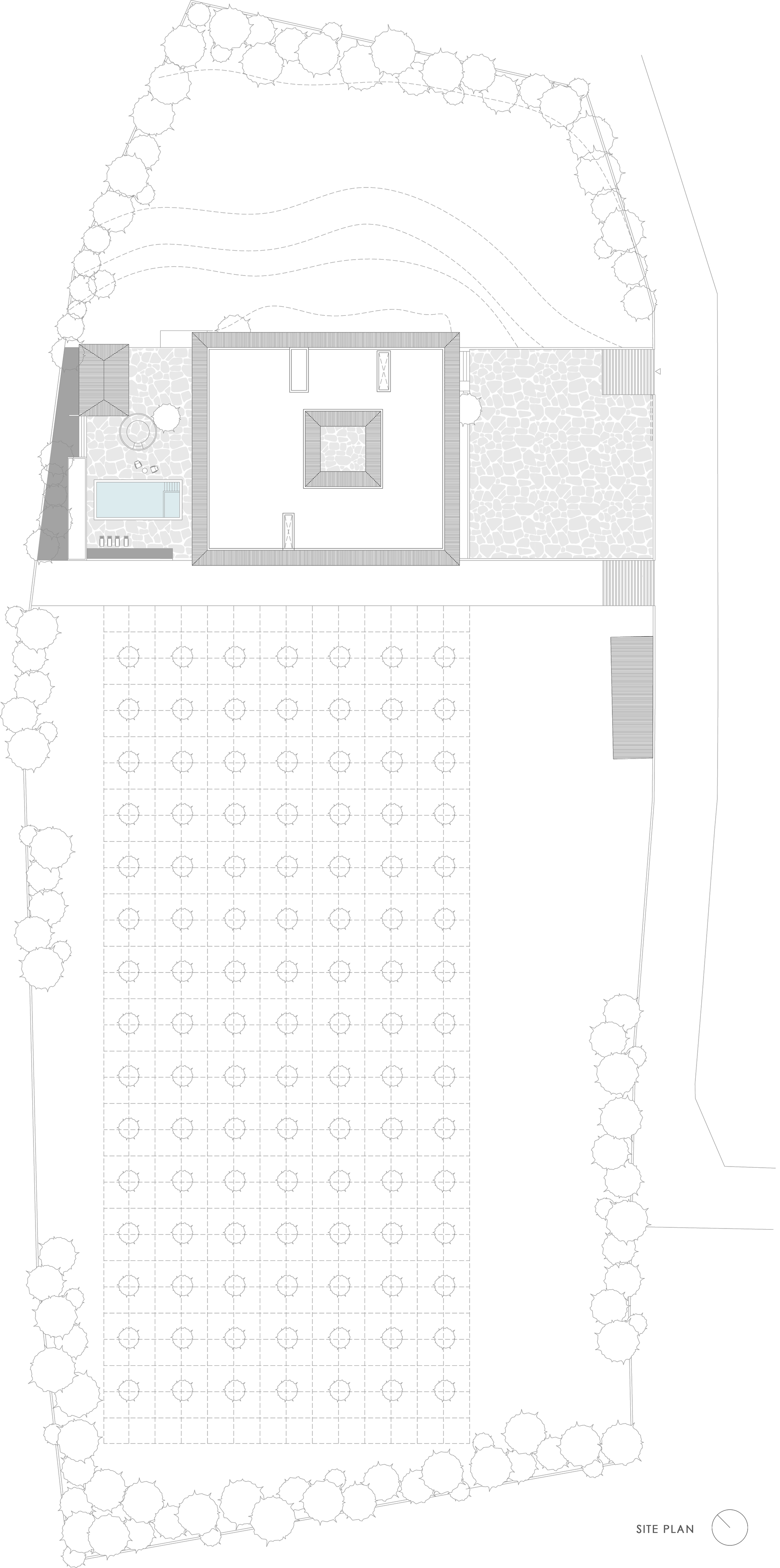丨印度丨D'WELL-43