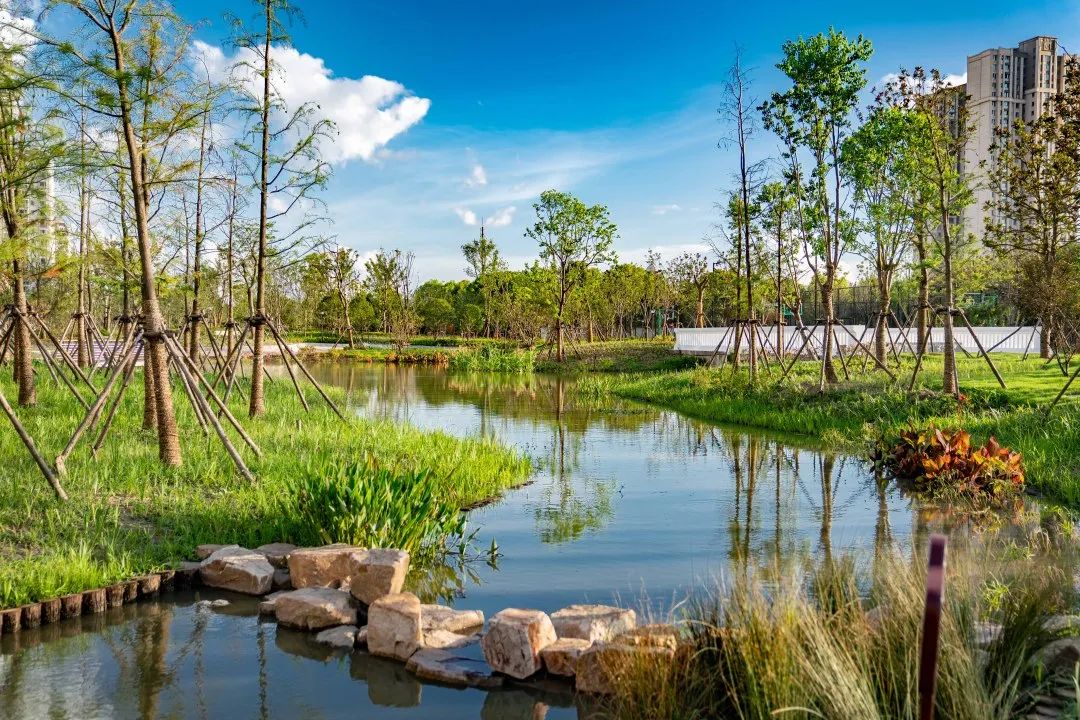 上海松江方松体育公园-0