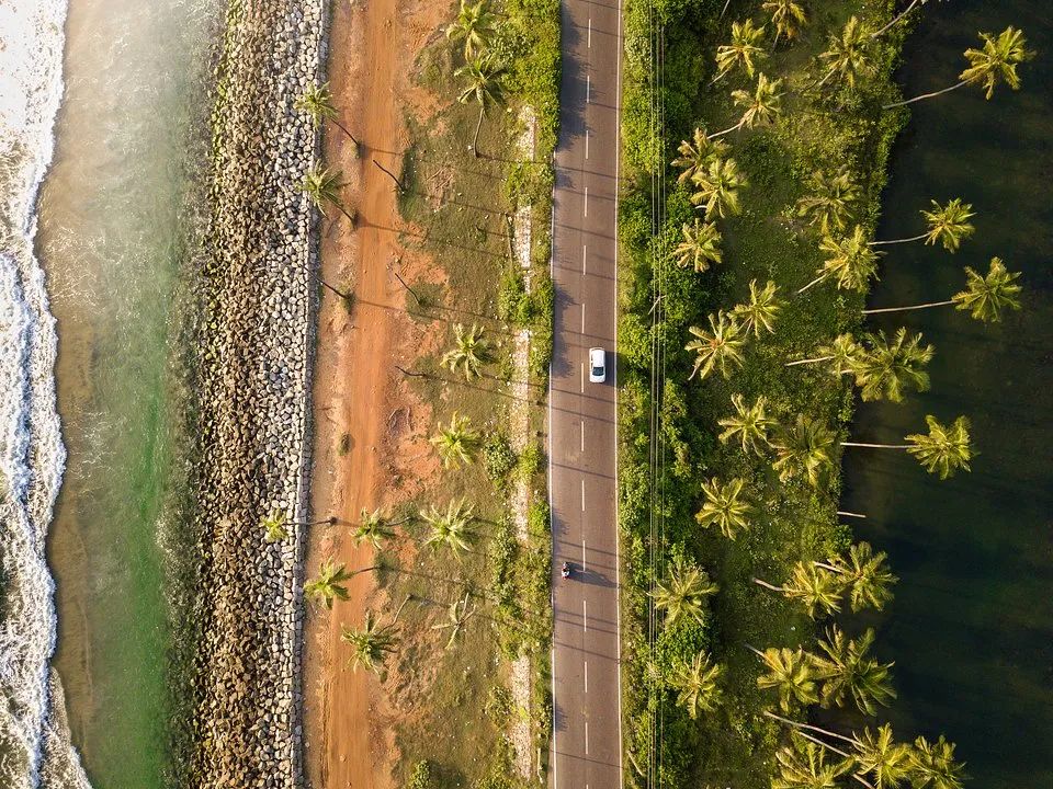 绿色震撼心灵 | 全球绿色摄影大赛获奖作品欣赏-40