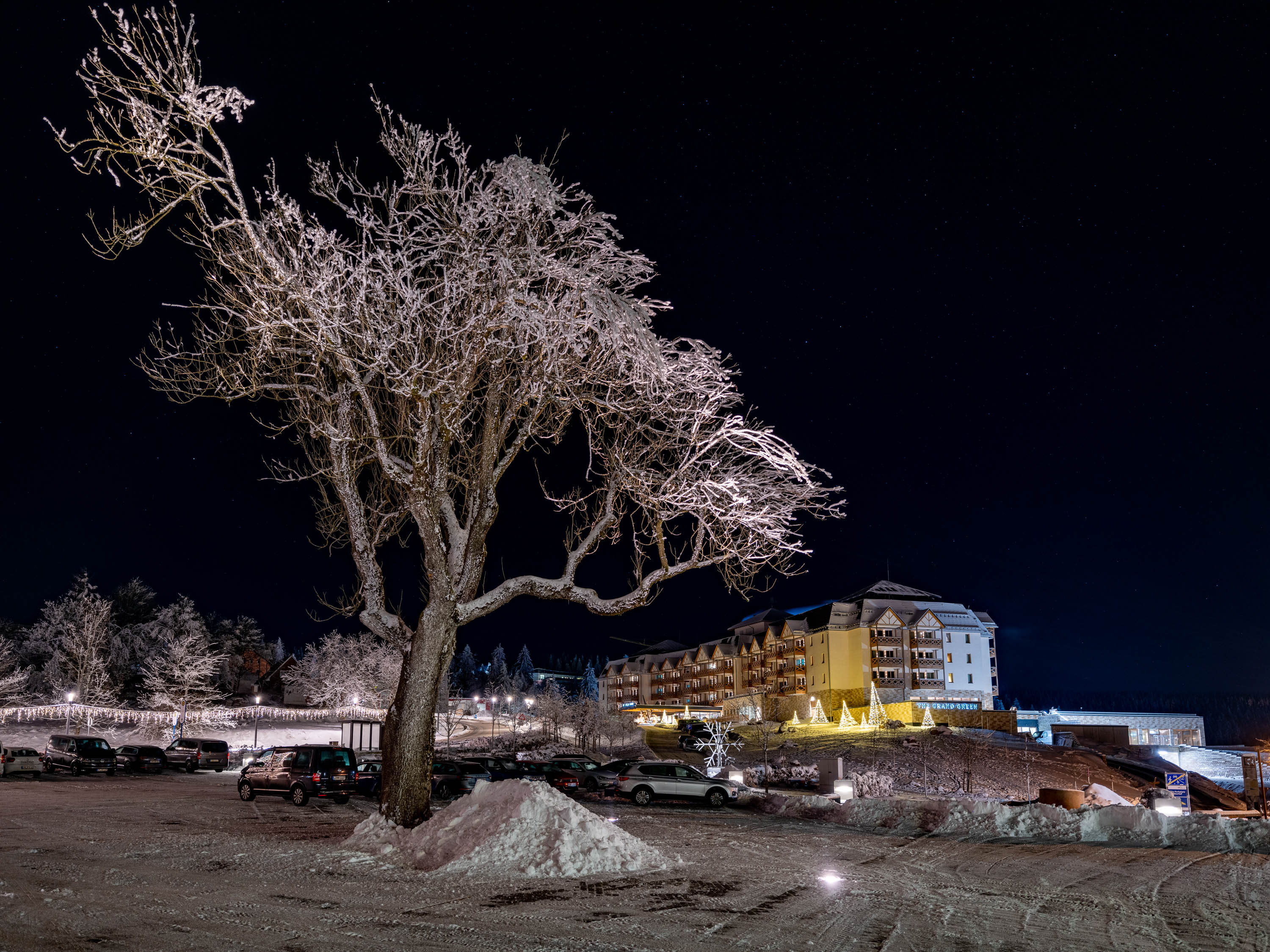 大绿色家庭度假村丨德国丨PAB Architects-70