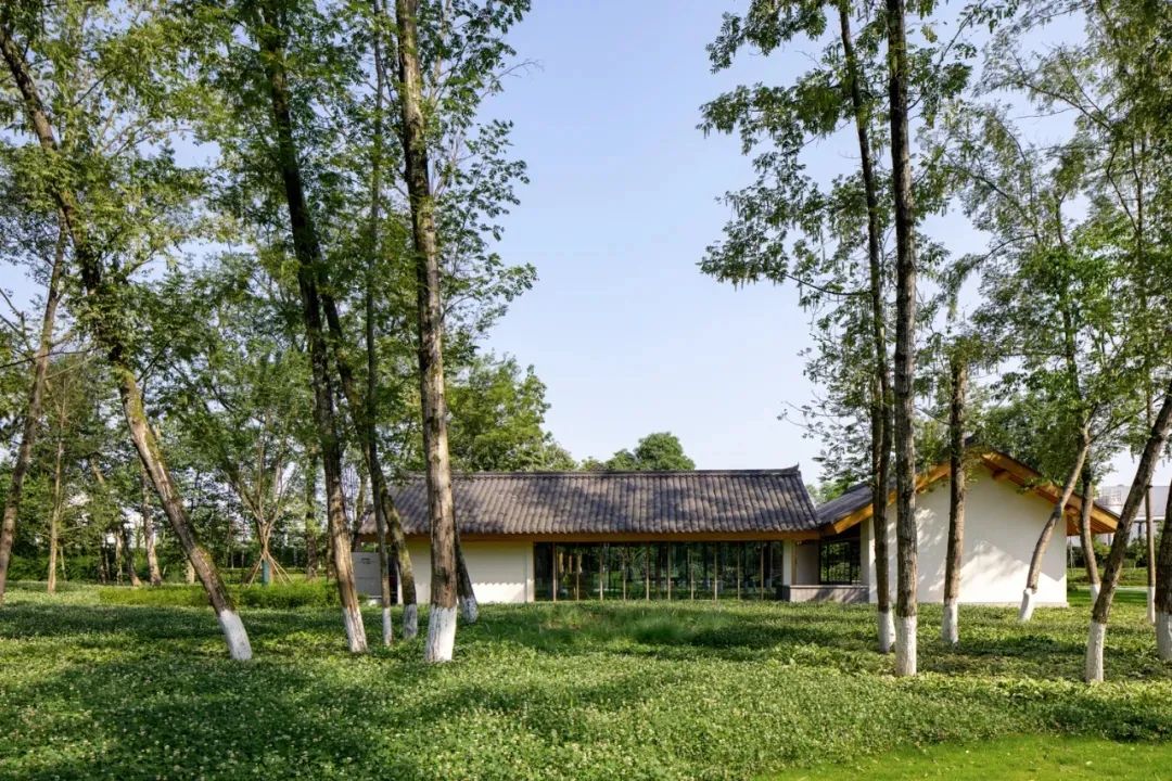 金螳螂   国内首个威士忌主题创新融合酒旅+文旅园区-4