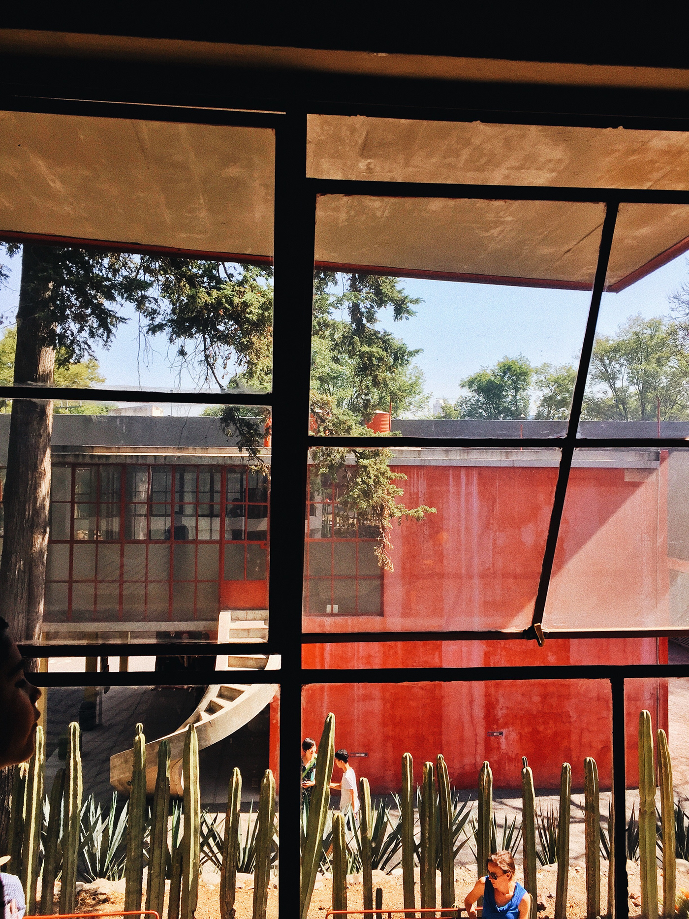 Museo/casa de Frida Kahlo y Diego Rivera-6