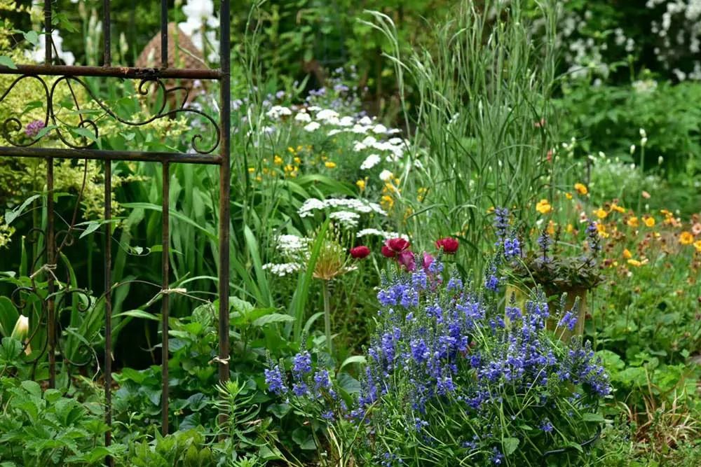 25年前的自制老花园，原来还可以这么美-33