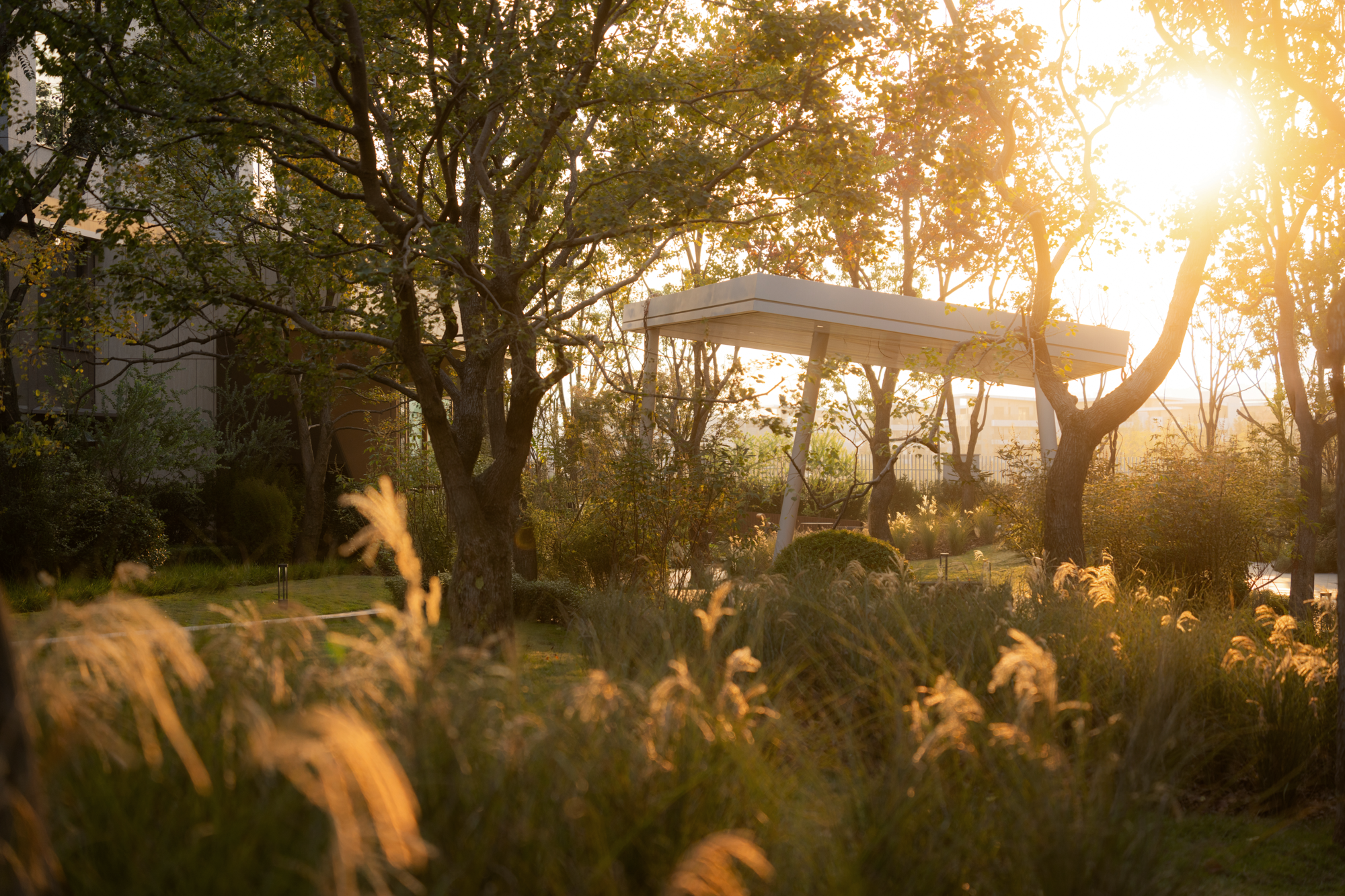 重庆麓悦江城碧影溪丨中国重庆丨WTD纬图设计等多家（含建筑,雕塑等设计方）-102
