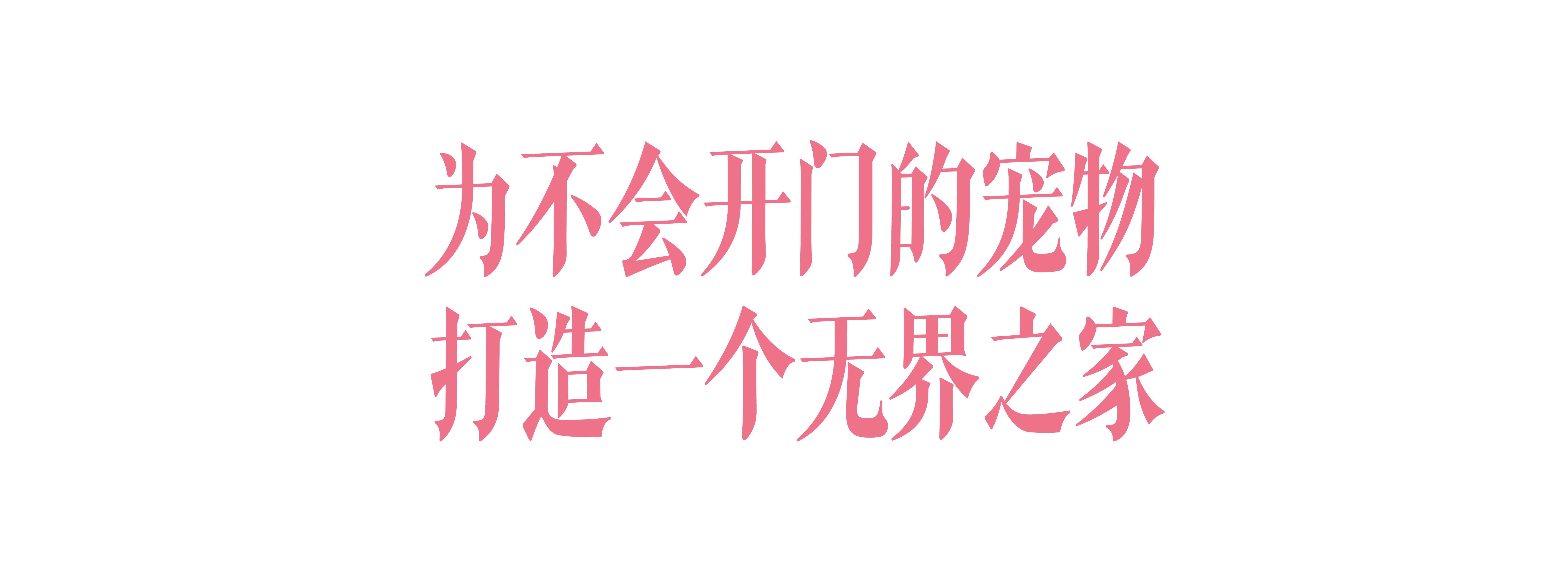 从北京迁居杭州，三犬一猫，6口之家的400平方米乐园-2