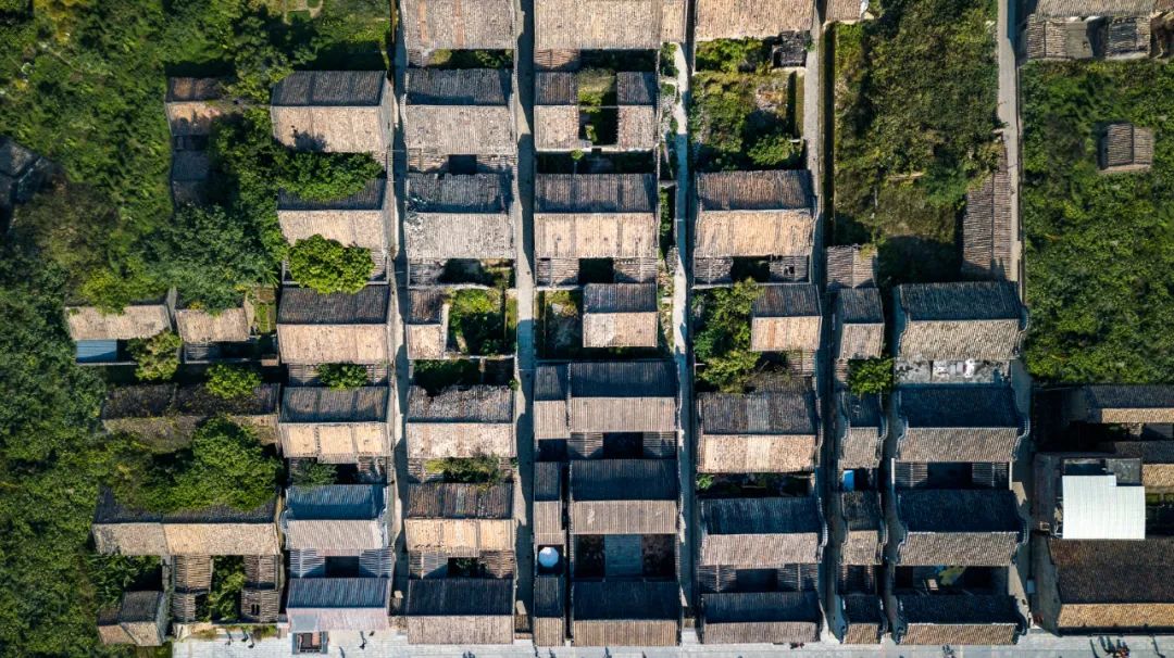 六百年岭南古村，如何振兴？丨广州花都港头村改造提升-17