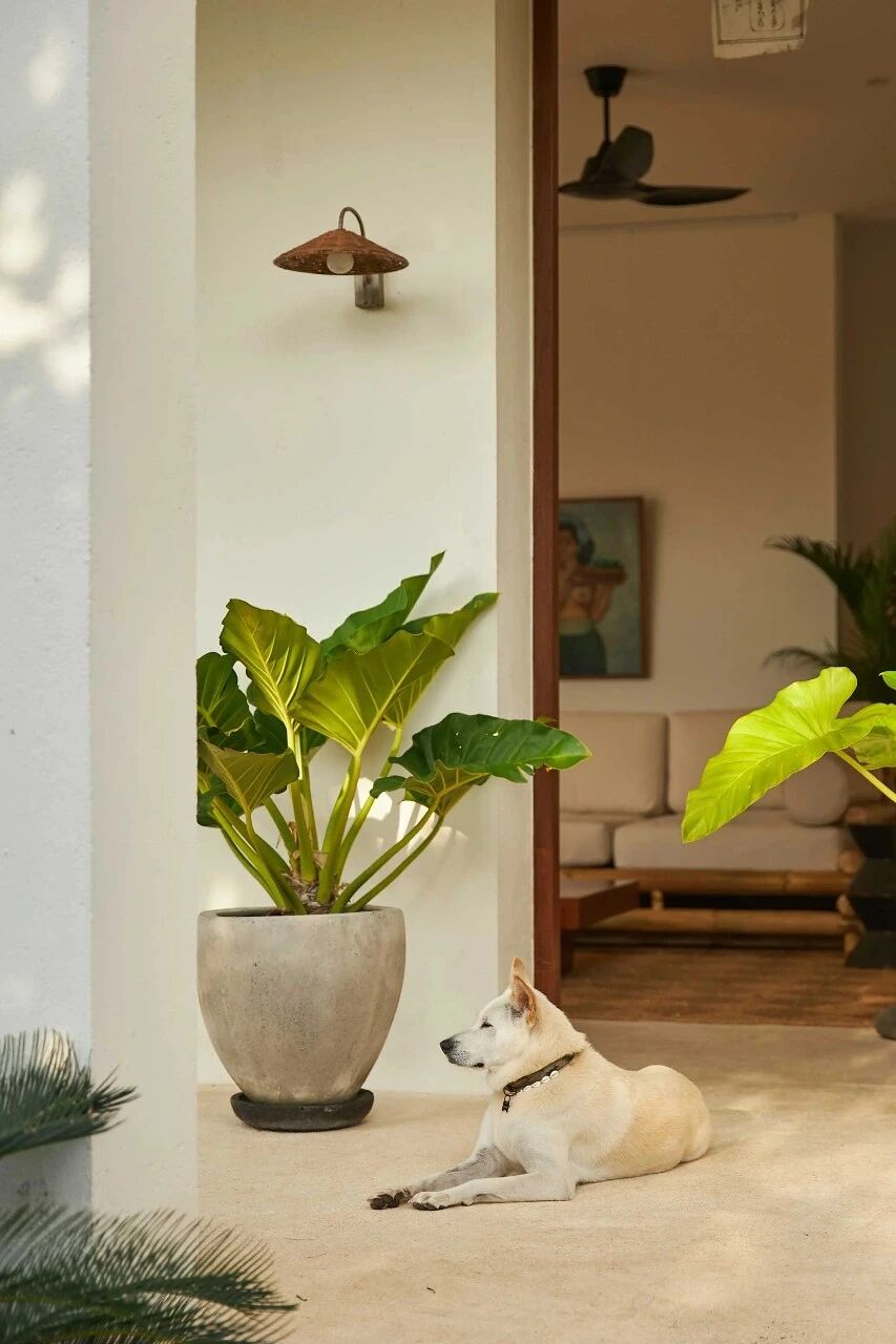 Madison Setiawan 巴厘岛自然奢居丨印度丨麦迪森·塞蒂亚万（Madison Setiawan）-11