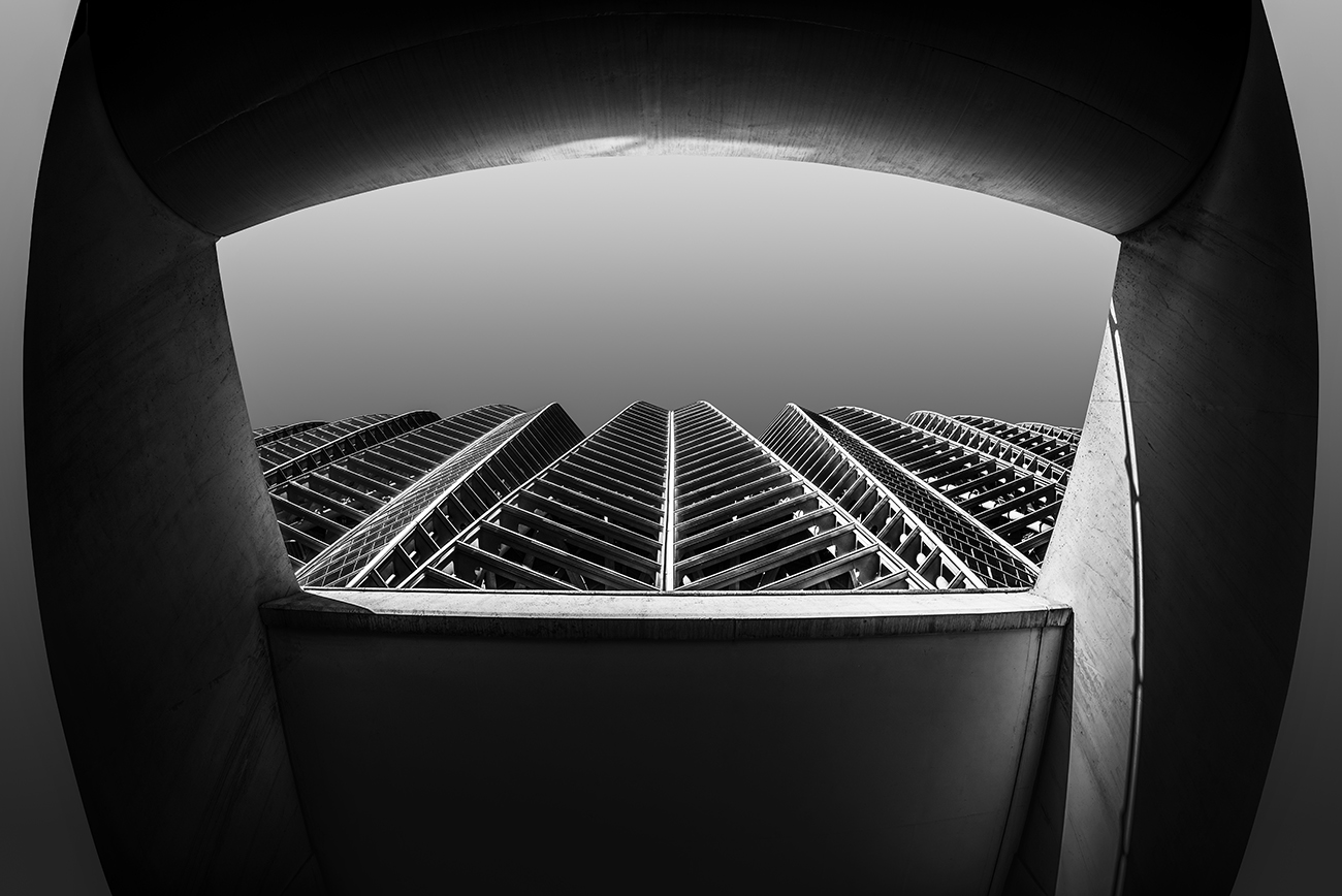 艺术与科学城丨Santiago Calatrava-6