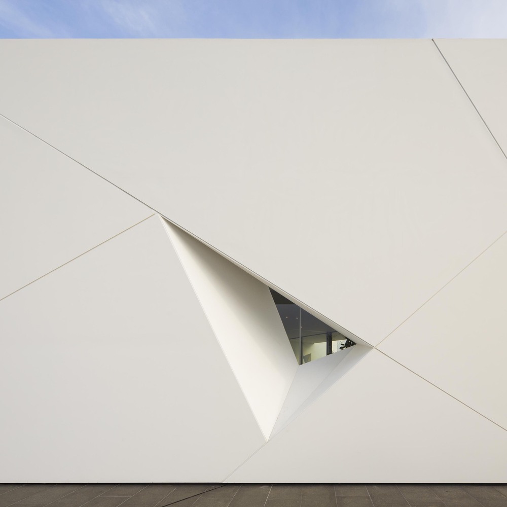 Diamond Tree（钻石树）-77