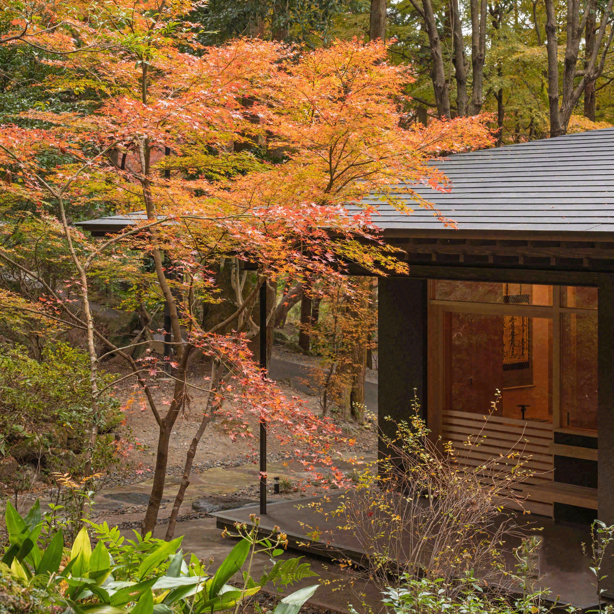 德荣寺 紫音庵丨日本福冈丨Masumi Yanase Architect Office-28